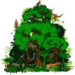 /jeux/Alphabet/Themes/Jungle/Parties\Jungle\Jungle.png